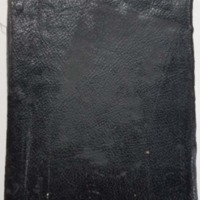 A Union Soldier&#039;s Diary of His Civil War Service with the Second Michigan Cavalry